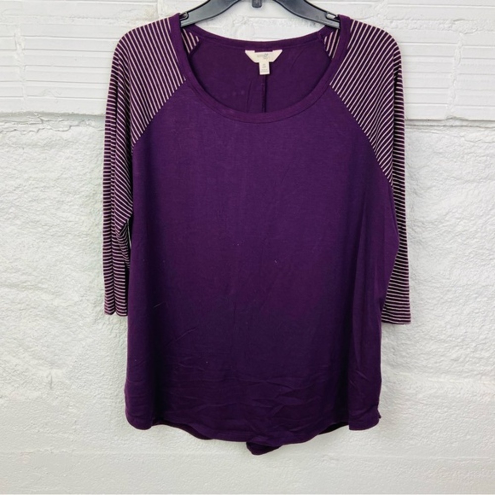 Terra & Sky Women's Purple Long Sleeve Top with Striped Sleeves size 0X